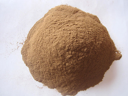 Bột Bách Xanh